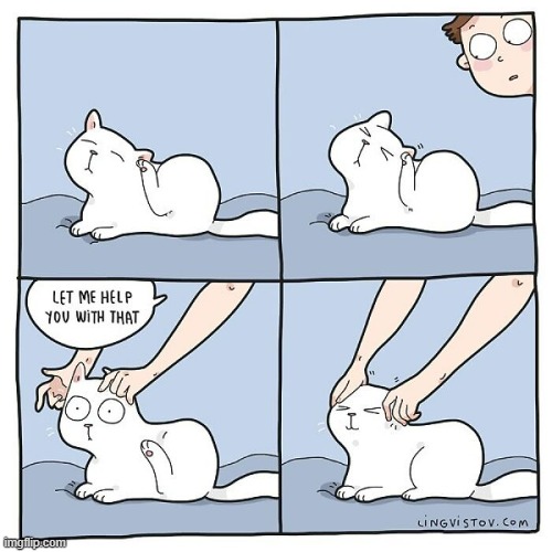 A Cat Guy's Way Of Thinking | image tagged in memes,comics,cats,guy,do you need help,ahhhhhhhhhhhhh | made w/ Imgflip meme maker