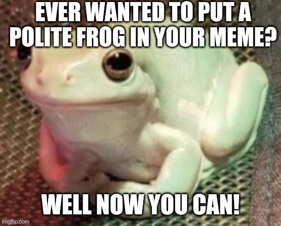 https://imgflip.com/memetemplate/435730970/Polite-frog | EVER WANTED TO PUT A POLITE FROG IN YOUR MEME? WELL NOW YOU CAN! | image tagged in polite frog | made w/ Imgflip meme maker