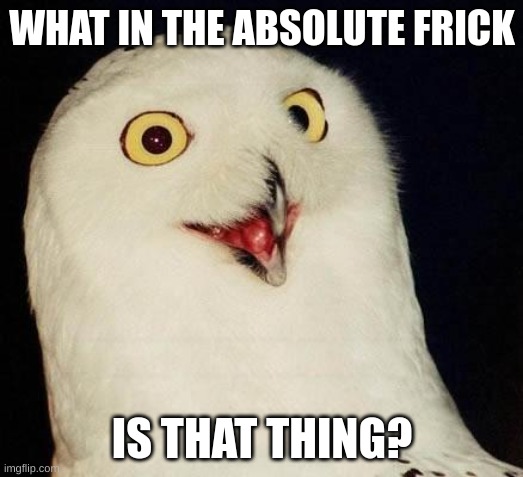 O RLY? | WHAT IN THE ABSOLUTE FRICK IS THAT THING? | image tagged in o rly | made w/ Imgflip meme maker