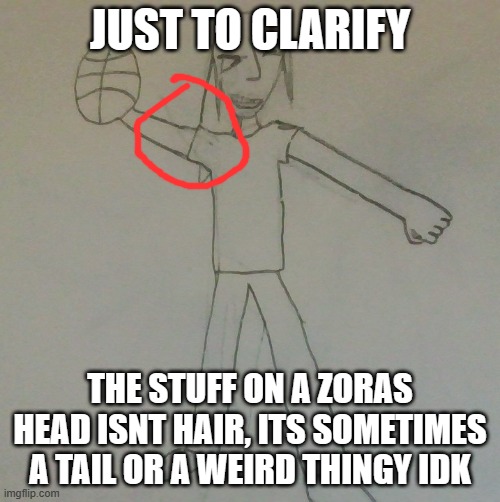 JUST TO CLARIFY; THE STUFF ON A ZORAS HEAD ISNT HAIR, ITS SOMETIMES A TAIL OR A WEIRD THINGY IDK | image tagged in jake baller | made w/ Imgflip meme maker