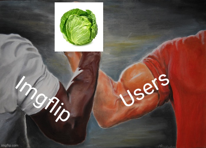 Splendid | Users; Imgflip | image tagged in memes,epic handshake,cabbage,vegetables | made w/ Imgflip meme maker