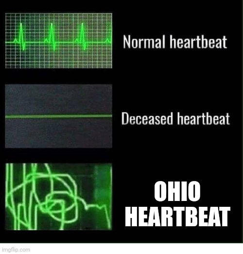normal heartbeat,deceased heartbeat | OHIO HEARTBEAT | image tagged in normal heartbeat deceased heartbeat | made w/ Imgflip meme maker