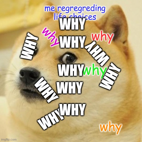 Doge Meme | me regregreding life choices; WHY; WHY; WHY; why; why; WHY; why; WHY; WHY; WHY; WHY; WHY; WHY; why | image tagged in memes,doge | made w/ Imgflip meme maker