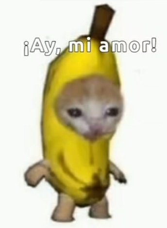 Poco loco cat Blank Meme Template