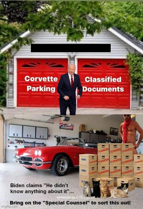 Joe Biden's garage | image tagged in garage | made w/ Imgflip meme maker