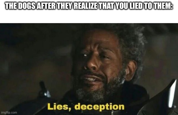 SW Lies, deception | THE DOGS AFTER THEY REALIZE THAT YOU LIED TO THEM: | image tagged in sw lies deception | made w/ Imgflip meme maker