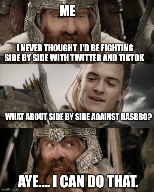Unlikely Allies | ME; I NEVER THOUGHT  I'D BE FIGHTING SIDE BY SIDE WITH TWITTER AND TIKTOK; WHAT ABOUT SIDE BY SIDE AGAINST HASBRO? AYE.... I CAN DO THAT. | image tagged in lotr - i never thought i'd die meme | made w/ Imgflip meme maker