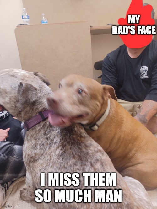 MY DAD'S FACE; I MISS THEM SO MUCH MAN | made w/ Imgflip meme maker