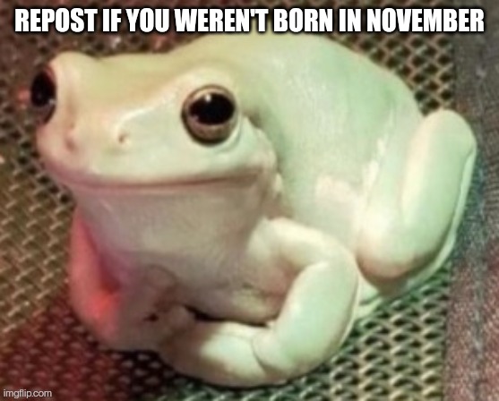 Polite frog | REPOST IF YOU WEREN'T BORN IN NOVEMBER | image tagged in polite frog | made w/ Imgflip meme maker