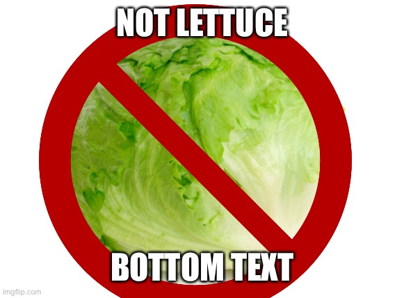 ? "um actually i'm tired of the lettuce memes" | NOT LETTUCE; BOTTOM TEXT | image tagged in funni,lettuce | made w/ Imgflip meme maker