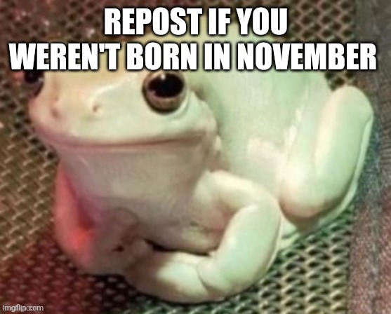 Ew cringe month | REPOST IF YOU WEREN'T BORN IN NOVEMBER | image tagged in polite frog | made w/ Imgflip meme maker