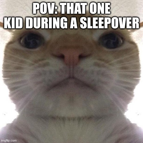 zzz... oh god | POV: THAT ONE KID DURING A SLEEPOVER | image tagged in staring cat/gusic | made w/ Imgflip meme maker
