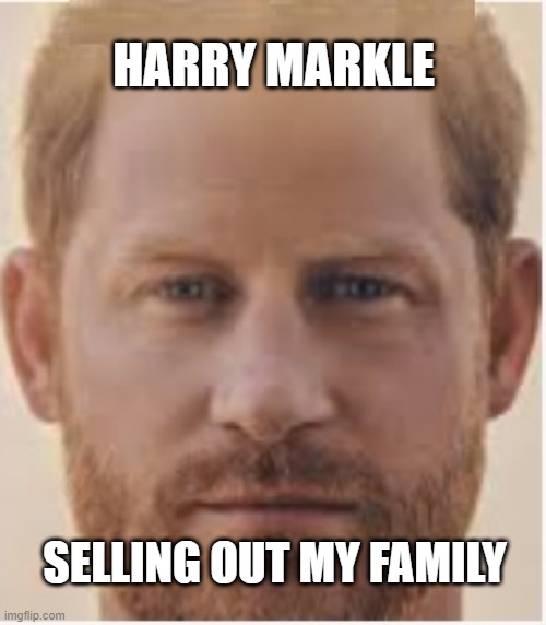 Harry Markle book | HARRY MARKLE; SELLING OUT MY FAMILY | image tagged in harry | made w/ Imgflip meme maker