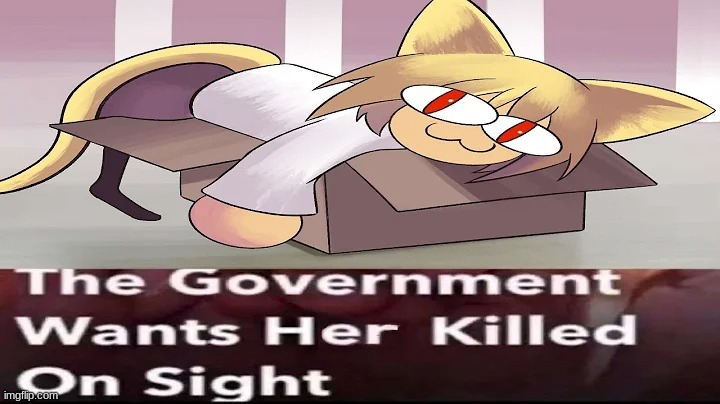 Send this to Pochita_ if he's online /j | made w/ Imgflip meme maker