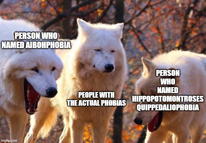 2/3 wolves laugh | PERSON WHO NAMED AIBOHPHOBIA; PERSON
WHO
NAMED
HIPPOPOTOMONTROSES
QUIPPEDALIOPHOBIA; PEOPLE WITH THE ACTUAL PHOBIAS | image tagged in 2/3 wolves laugh | made w/ Imgflip meme maker