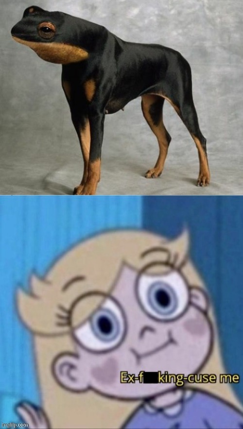 What is this | image tagged in star butterfly ex-f king-cuse me,unsee juice,cursed image,dogs,memes,unsee | made w/ Imgflip meme maker
