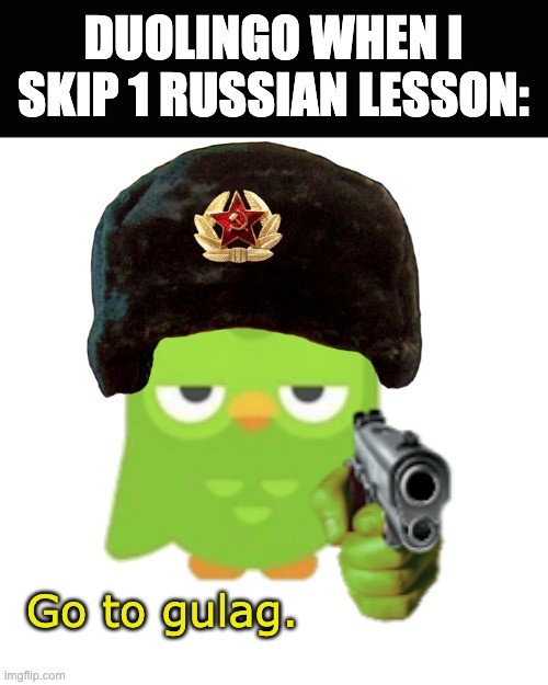 You skipped your Russian Lesson? GO TO GULAG! | DUOLINGO WHEN I SKIP 1 RUSSIAN LESSON:; Go to gulag. | image tagged in duolingo,gulag,memes,soviet union,russian,duolingo bird | made w/ Imgflip meme maker