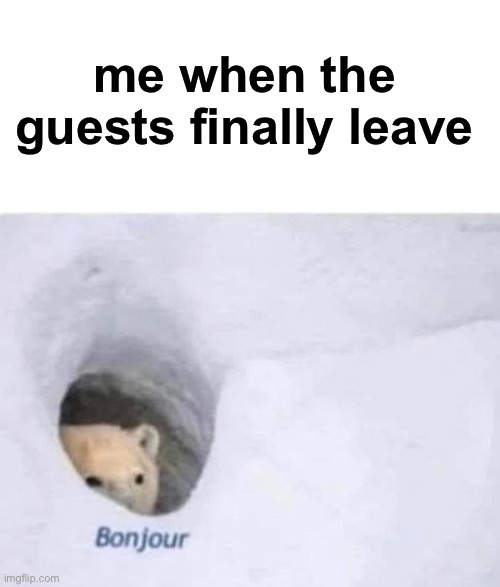 lol | me when the guests finally leave | image tagged in bonjour | made w/ Imgflip meme maker