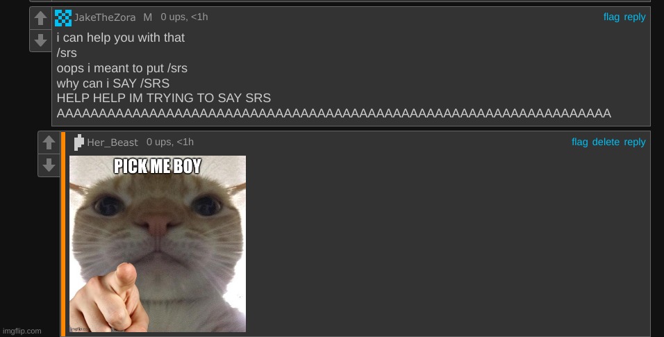 made w/ Imgflip meme maker