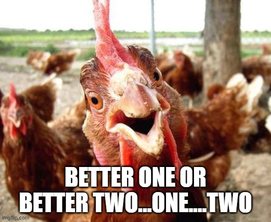 Chicken | BETTER ONE OR BETTER TWO...ONE....TWO | image tagged in chicken | made w/ Imgflip meme maker