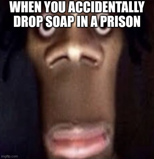 Quandale dingle | WHEN YOU ACCIDENTALLY DROP SOAP IN A PRISON | image tagged in quandale dingle | made w/ Imgflip meme maker