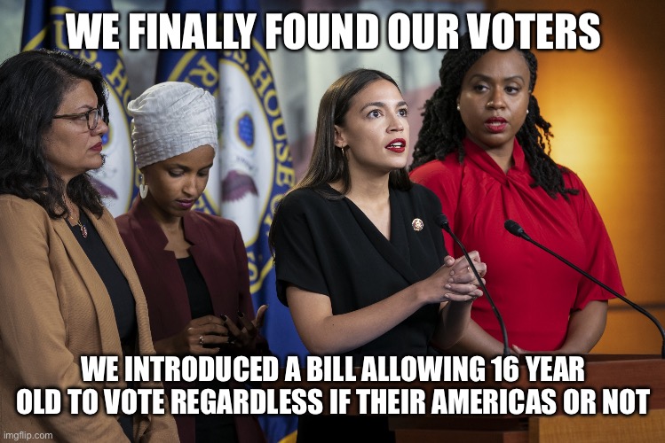 We’ve made our money | WE FINALLY FOUND OUR VOTERS; WE INTRODUCED A BILL ALLOWING 16 YEAR OLD TO VOTE REGARDLESS IF THEIR AMERICAS OR NOT | image tagged in we re idiot sssss,sauas,memes | made w/ Imgflip meme maker