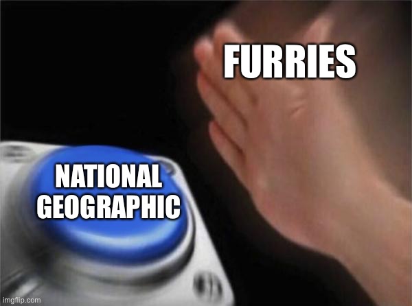 Furries got the wrong dating site | FURRIES; NATIONAL GEOGRAPHIC | image tagged in memes,blank nut button | made w/ Imgflip meme maker