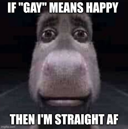 Donkey staring | IF "GAY" MEANS HAPPY; THEN I'M STRAIGHT AF | image tagged in donkey staring | made w/ Imgflip meme maker