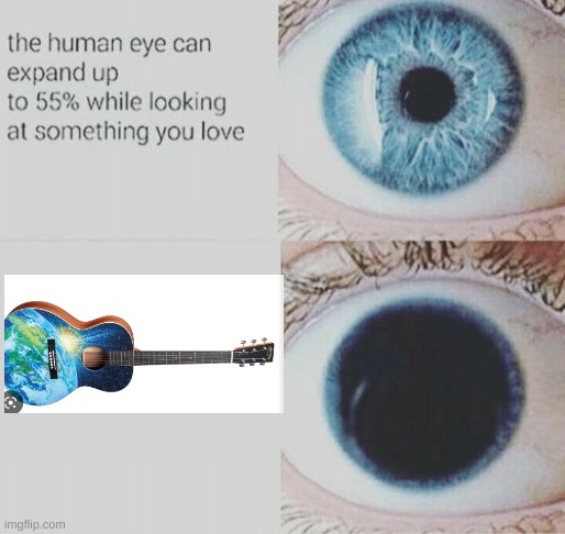 This Guitar is AWESOME | image tagged in eye pupil expand,guitar | made w/ Imgflip meme maker