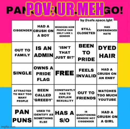 Pansexual Bingo | POV: UR MEH | image tagged in pansexual bingo | made w/ Imgflip meme maker