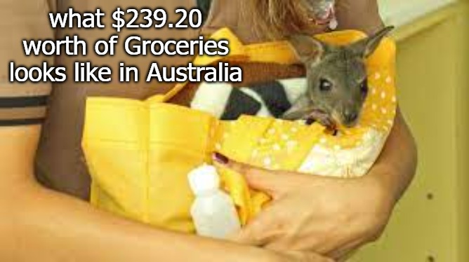 what $239.20 worth of Groceries looks like in Australia | image tagged in roo | made w/ Imgflip meme maker