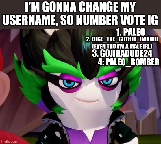 Edgy Stare | I'M GONNA CHANGE MY USERNAME, SO NUMBER VOTE IG; 1. PALEO; 2. EDGE_THE_GOTHIC_RABBID (EVEN THO I'M A MALE IRL); 3. GOJIRADUDE24; 4: PALEO_BOMBER | image tagged in edgy stare | made w/ Imgflip meme maker