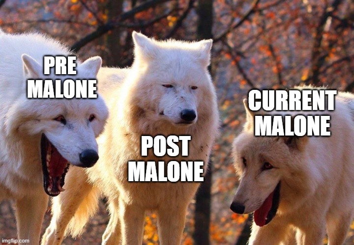 hai | PRE 
MALONE; CURRENT
MALONE; POST
MALONE | image tagged in 2/3 wolves laugh | made w/ Imgflip meme maker