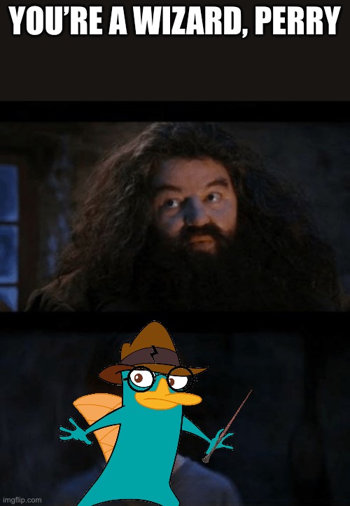Perrrrry! | YOU’RE A WIZARD, PERRY | image tagged in you are a wizard harry | made w/ Imgflip meme maker