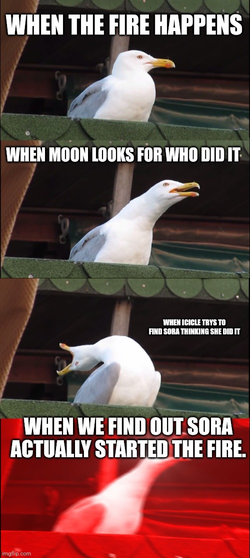 The fire in book 6 | WHEN THE FIRE HAPPENS; WHEN MOON LOOKS FOR WHO DID IT; WHEN ICICLE TRYS TO FIND SORA THINKING SHE DID IT; WHEN WE FIND OUT SORA ACTUALLY STARTED THE FIRE. | image tagged in memes,inhaling seagull,wings of fire | made w/ Imgflip meme maker