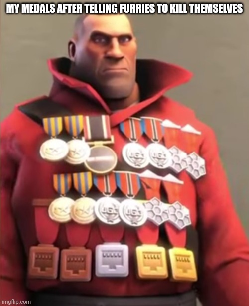 Lol | MY MEDALS AFTER TELLING FURRIES TO KILL THEMSELVES | made w/ Imgflip meme maker