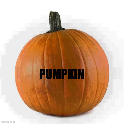 Pumpkin | PUMPKIN | image tagged in pumpkin | made w/ Imgflip meme maker