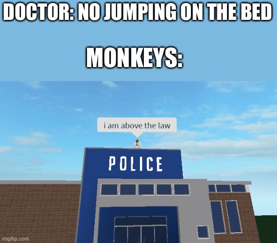 I am above the law |  DOCTOR: NO JUMPING ON THE BED; MONKEYS: | image tagged in i am above the law | made w/ Imgflip meme maker