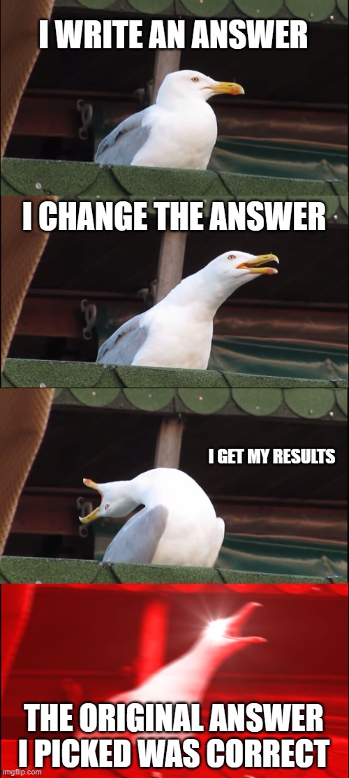 Inhaling Seagull | I WRITE AN ANSWER; I CHANGE THE ANSWER; I GET MY RESULTS; THE ORIGINAL ANSWER I PICKED WAS CORRECT | image tagged in memes,inhaling seagull | made w/ Imgflip meme maker