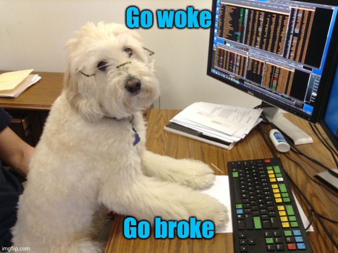 Stock Broker Dog | Go woke Go broke | image tagged in stock broker dog | made w/ Imgflip meme maker