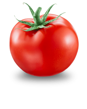 tomato Meme Template