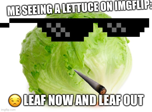 letuce in | ME SEEING A LETTUCE ON IMGFLIP:; 😒 LEAF NOW AND LEAF OUT | image tagged in lettuce | made w/ Imgflip meme maker