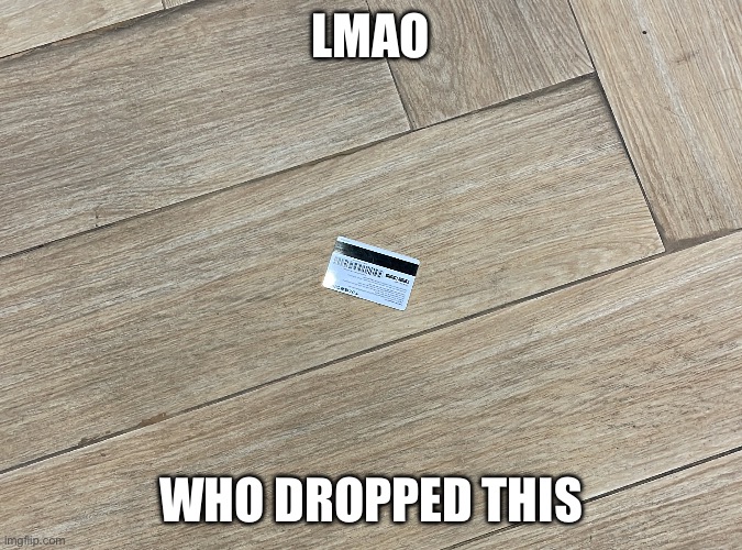 LMAO; WHO DROPPED THIS | image tagged in random | made w/ Imgflip meme maker