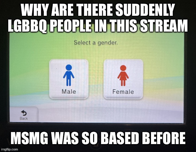 Idk but like I’ve only seen 2 so it’s nothing to worry about ig | WHY ARE THERE SUDDENLY LGBBQ PEOPLE IN THIS STREAM; MSMG WAS SO BASED BEFORE | image tagged in balls,dyslexia,yea thats me,life sucks lmao | made w/ Imgflip meme maker