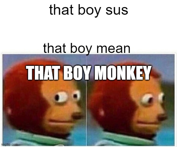 Monkey Puppet Meme | that boy sus; that boy mean; THAT BOY MONKEY | image tagged in memes,monkey puppet | made w/ Imgflip meme maker