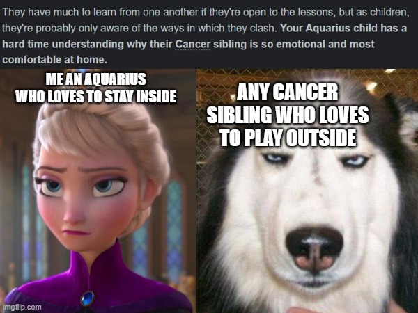 dont ask why i put my sis as a dog 0-0 | ME AN AQUARIUS WHO LOVES TO STAY INSIDE; ANY CANCER SIBLING WHO LOVES TO PLAY OUTSIDE | image tagged in pls,stop reading the tags | made w/ Imgflip meme maker