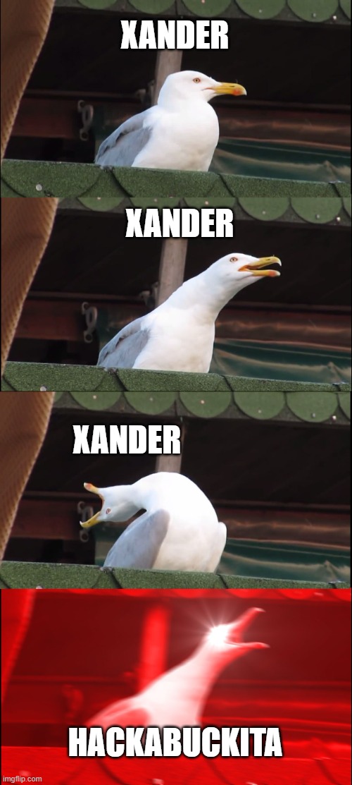 HACKABUCKITA | XANDER; XANDER; XANDER; HACKABUCKITA | image tagged in memes,inhaling seagull | made w/ Imgflip meme maker