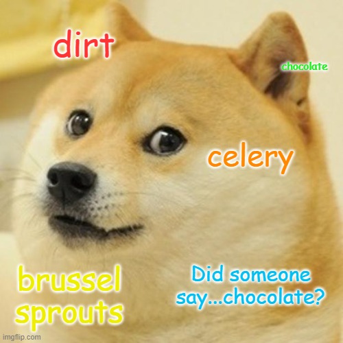 Doge | dirt; chocolate; celery; Did someone say...chocolate? brussel sprouts | image tagged in memes,doge | made w/ Imgflip meme maker