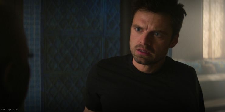 bucky no arm | image tagged in bucky no arm | made w/ Imgflip meme maker