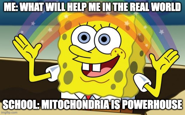 School | ME: WHAT WILL HELP ME IN THE REAL WORLD; SCHOOL: MITOCHONDRIA IS POWERHOUSE | image tagged in spongbob | made w/ Imgflip meme maker